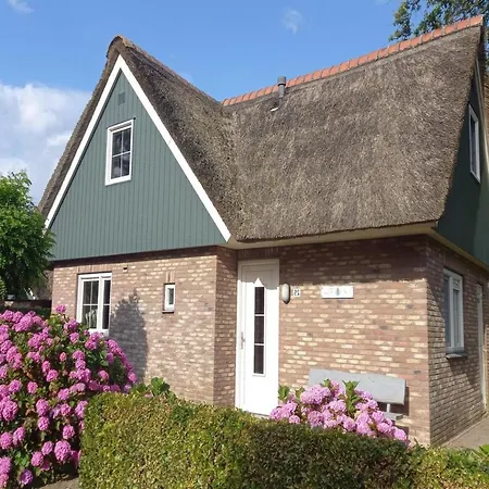 Retreat, Near Forest *