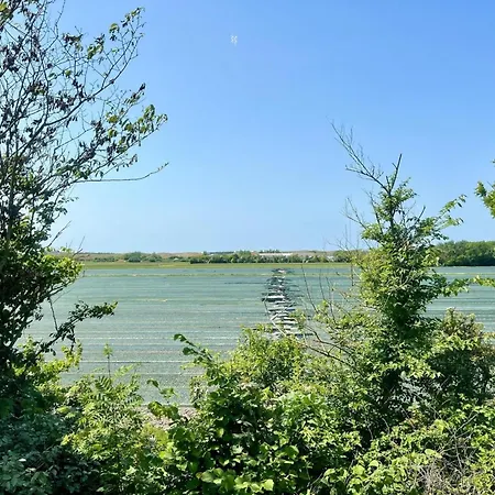 Retreat, Near Forest *