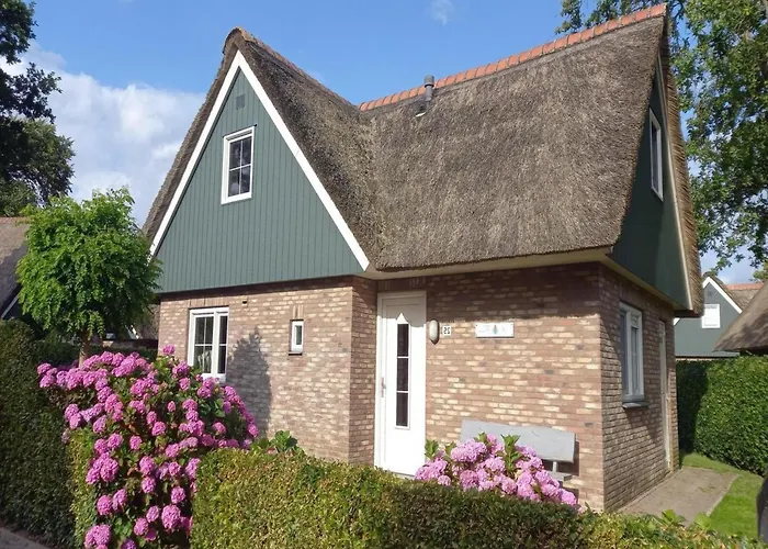 Retreat, Near Forest *