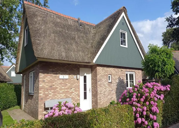 Retreat, Near Forest * Sint Maartensvlotbrug