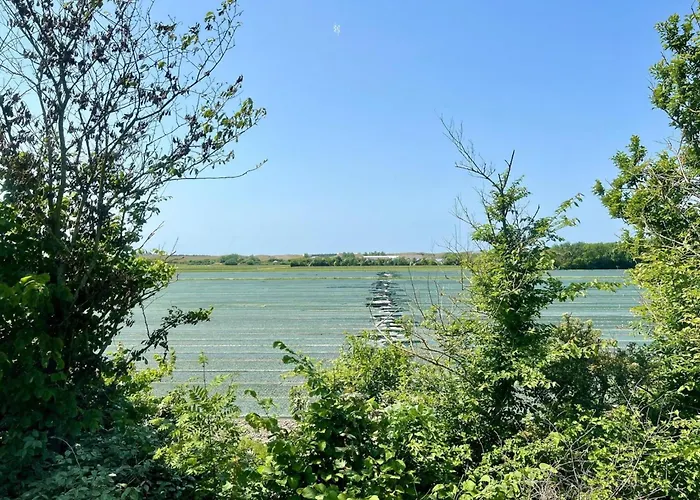 Retreat, Near Forest *